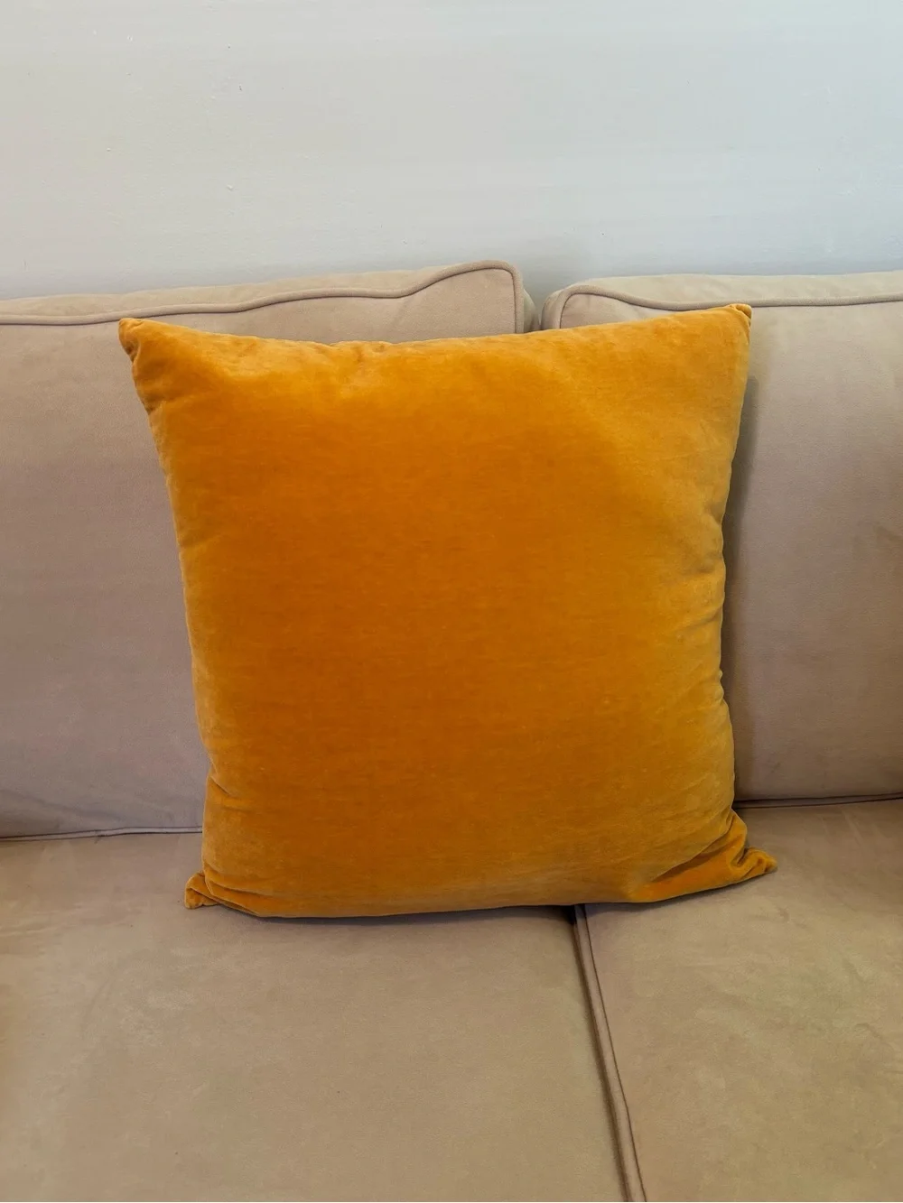 H&M Cotton Velvet Pillow Cover